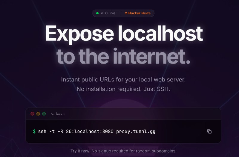 Tunnl.gg: 轻量化 SSH 隧道服务，单命令即可暴露本地应用 公开的服务是 